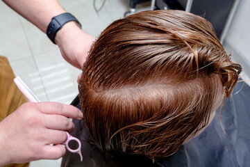 Fototapeta premium Hairdresser trimming hair with scissors. Hairstyling in progress