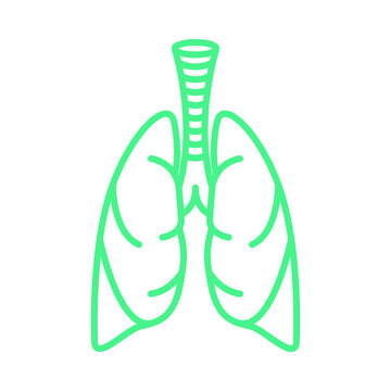 lungs icon_vector