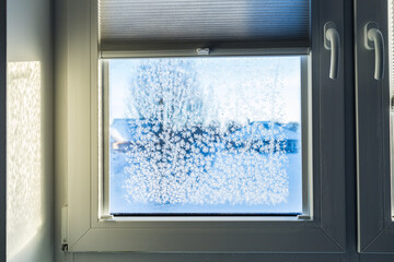 Eisblumen an Fensterscheibe im Winter