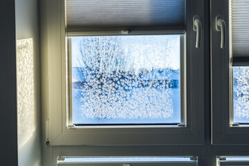 Eisblumen an Fensterscheibe im Winter