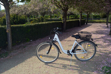 Fototapeta premium A white bicycle in a blooming park in spring