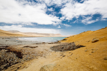 Bahía, reserva de Paracas  Ica-Peru