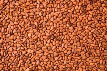 Pine nuts background 