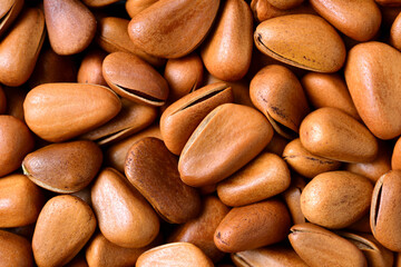 Pine nut background