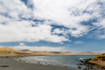 Bahía, reserva de Paracas  Ica-Peru