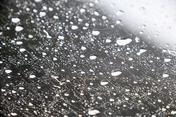 raindrops on the window