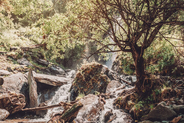 waterfall in Altai, Russia