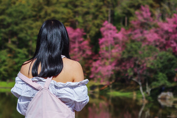 Soft Focus,A woman standing in the nature with a peaceful atmosphere alone and with a beautiful pink cherry blossom background. Concept of the feeling of loneliness of a young woman having to be alone
