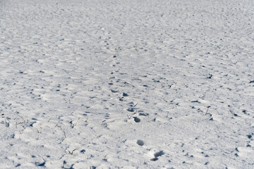 foodprints in snow