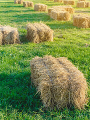 Seats and tables made from straw bales for event and party laid on lawn yard. Straws stubble decorated for sitting in the countryside. Furniture made of pallets and straw bales. Selective focus.