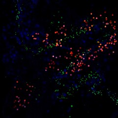 Glitter texture.for your design