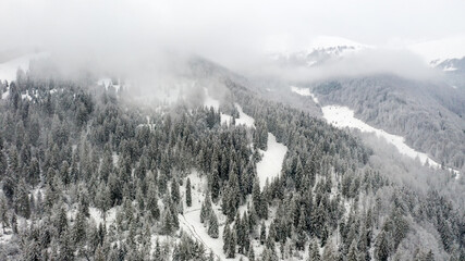 Beautiful foggy winter landscape of Carpathians with forest covered with snow, horizontal winter outdoor, no people,
