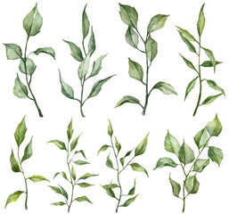 Collection of hand painted green leaves