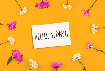 Hello Spring text inscription, creative mockup with frame made of flowers on yellow background