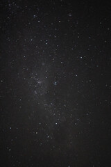 cielo nocturno estrellado arboles bosque via láctea
