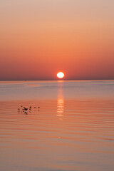 Beach Sunrise