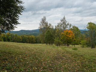 Naklejka premium Meadow with autumn colorful forest, trees and hills, moody sky. Landscape in Luzicke hory Lusatian Mountains, Czech Republic.