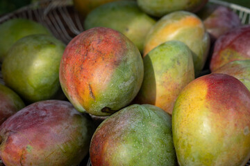 mango variant, tropical fruit of natural and wild production
