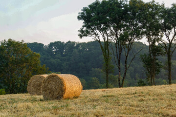 Two final hay bales in the sunrise