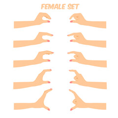 women's hands composing different gestures,fingers showing various sizes, grabbing, holding signs, vector illustration
