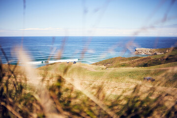 freedom at the beach