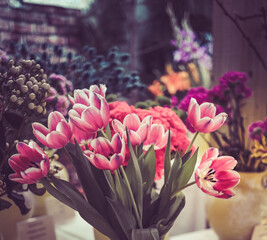A Colorful flower view with a background of different colorful flowers