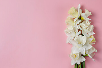 Bouquet of white-yellow daffodils isolated on pink background. Tender minimalistic spring flowers composition. Top view, copy space for text, flat lay, close up.