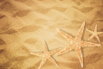 Starfish.