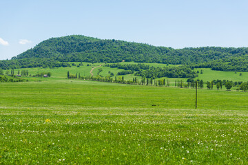 Beautiful alpine landscape with forest, Armenia