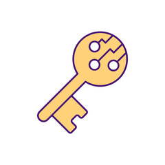 Digital signing key RGB color icon. Documents reconsidering processes. Mathematical scheme for verifying authenticity of digital messages or documents. Isolated vector illustration