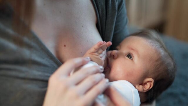 beautiful baby girl 6 months breastfed by mother