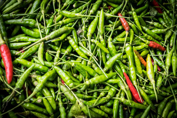 Green and Red  Chillies