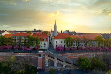 Splendid spring aerial phoito about Buda Royal castle district. Including cherry blossom trees