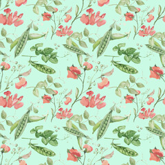 
Peas fruit leaves flowers twigs. Hand drawn vector watercolor illustration. Food menu food. Vegetable garden harvest natural products Seamless patern background