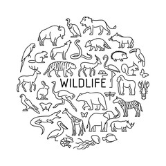 Wildlife vector icons circle concept. Animals, birds, sealife, insects illustration.
