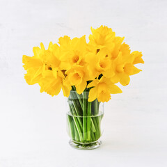 Yellow narcissus or daffodil bouquet in a glass vase on light background. Holiday background, copy space