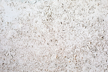 Shell rock limestone texture background. Natural stone background.