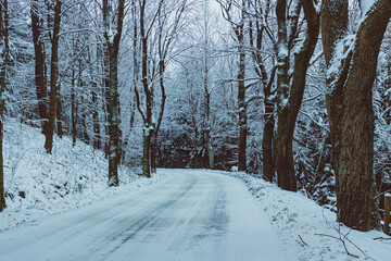 snowed mountain road in the woods in winter time