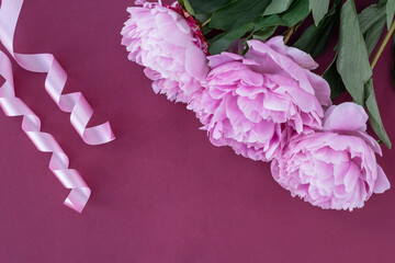 Layout for greetings postcard: three pink peonies and two swirling ribbons on magenta background, copyspace. Holiday concept