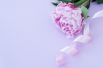 Big pink peony and swirling ribbon at upper corner of image on light pink background. Lots of copy space for text. Layout for postcard, greetings concept