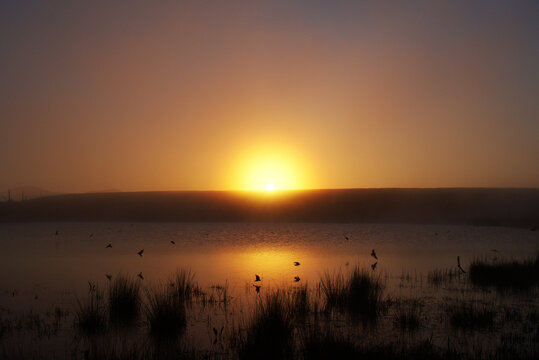 Just a stuning sunset