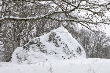 Winter scene with big rock covered with snow.Shot in Sweden, Scandinavia