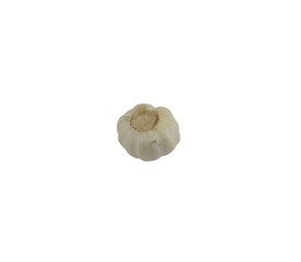 Fototapeta na wymiar Isolated head of garlic on a white background