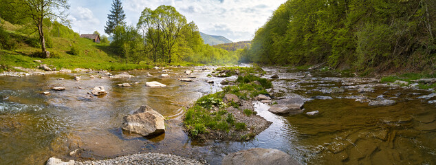 Spring mountain river panorama. Creek water flowing through stones and rocks. Green rural landscape.