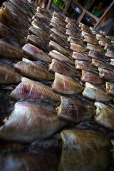 Fresh fish fillets lined up in a beautiful pattern in an open air market in Bangkok Thailand