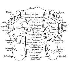 sketch of feet - Reflexology