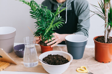 Young caucasian man gardener in eyeglasses transplanting plant in pots on the white wooden table and using tablet computer. Concept of home garden.