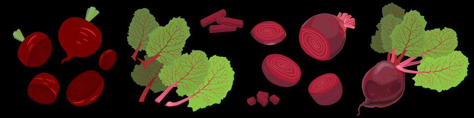Set of beets. Whole and sliced beetroots with leaves. Vector Illustration