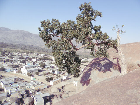 Elabered, Eritrea - January 15, 2021: Travelling around the vilages near Asmara and Massawa. An amazing caption of the trees, mountains and some old typical houses with very hot climate in Eritrea. 
