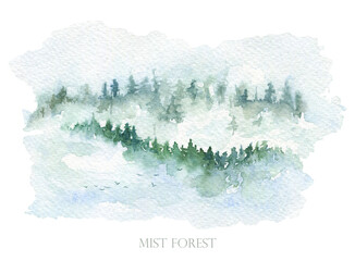 Pine forest in fog, mist mountain landscape